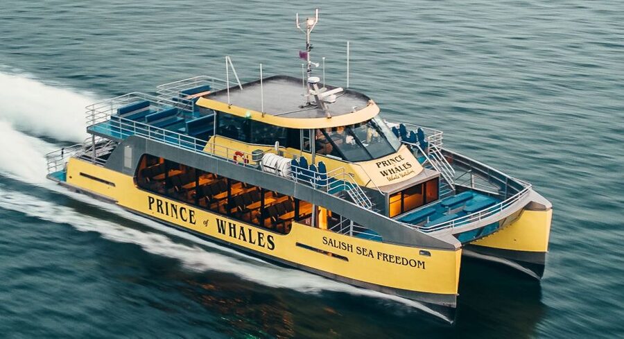 Victoria: Covered Whale Watching Adventure with Free Photos - Booking details worth knowing