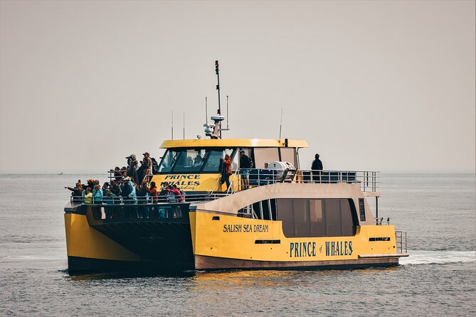 Victoria Half-Day Whale Watching Adventure with Free Photos - Price and value at $154.08 per person