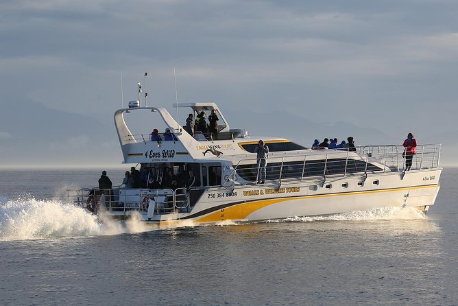 Victoria Marine Wildlife Tour - Choosing between an open boat and a semi-covered catamaran
