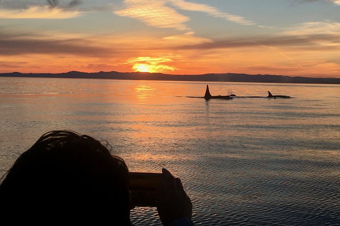 Victoria Sunset Whale-Watching Cruise - Leaving Victoria for the Salish Sea