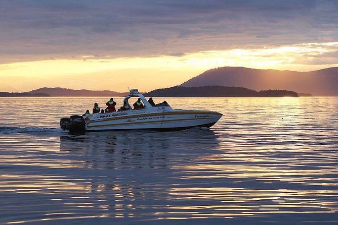 Victoria Sunset Whale-Watching Cruise - Timing, comfort, and practical preparation