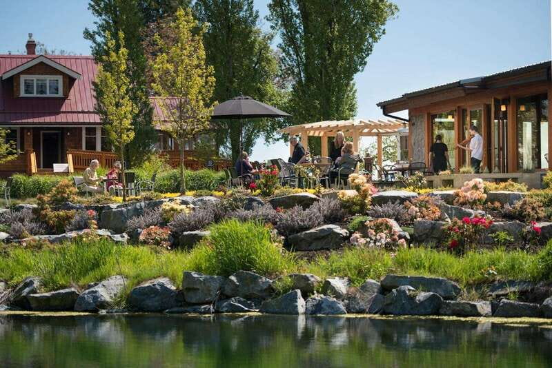 Victoria: Victoria Full Day Guided Wine Tour - What the guide adds to the day