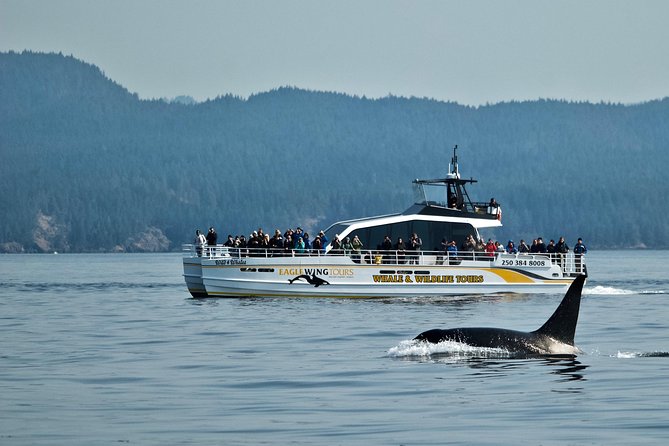 Victoria Whale and Wildlife Cruise - The First Run Along Vancouver Island’s Coast