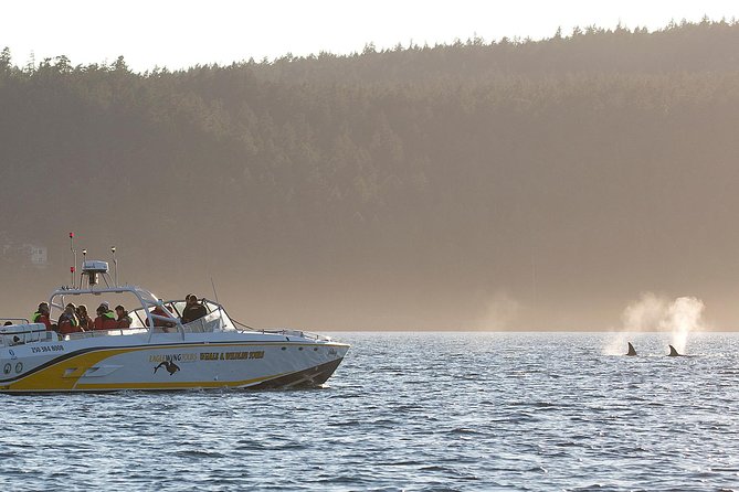 Victoria Whale and Wildlife Cruise - Leaving From 1 Dallas Road In Victoria