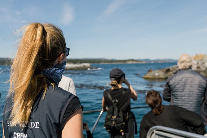 Victoria Whale Watch Tour - What the wildlife encounter may really be like
