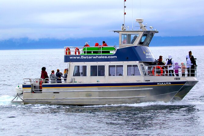 Victoria Whale Watching Cruise with Expert Naturalists - Three hours on the Salish Sea from Victoria