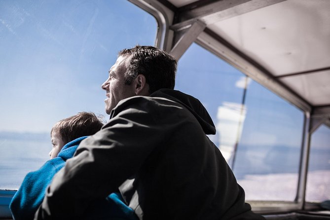 Victoria Whale Watching Tour on a Covered Vessel - What the Covered Boat Is Really Like