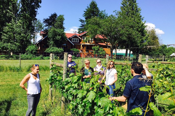 Victoria Wine Tour with Wine Tastings and Charcuterie - Unsworth Vineyards and the final tasting