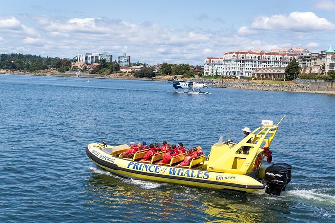 Victoria Zodiac Boat Whale Watching Adventure - Guides who make the ride work