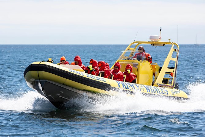 Victoria Zodiac Boat Whale Watching Adventure - Weather, cancellations, and practical planning