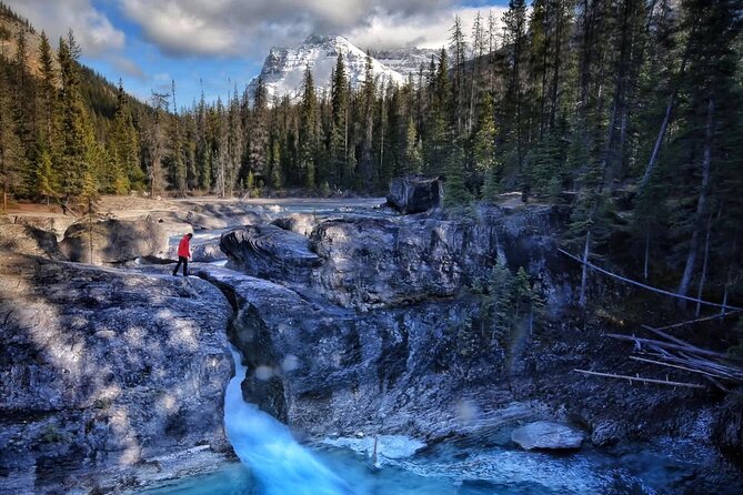 Waterfalls, Lakes & Hidden Gems – Yoho Adventure from Calgary - Field adds lunch and a human-scale pause