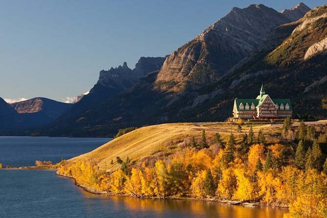 Waterton Lakes National Park Scenic Day Tour from Calgary - The bison paddock and the wildlife gamble