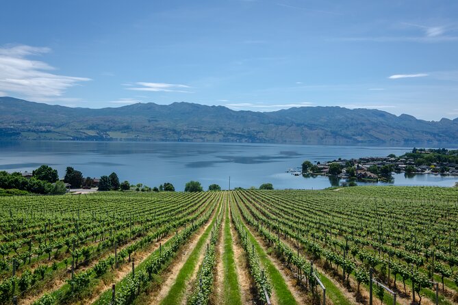 West Kelowna Full Day Lunch Wine Tour-Incl Tastings & Guide Grat - Why this West Kelowna route works