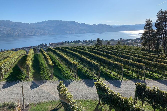 West Kelowna Full Day Wine Tour - Why West Kelowna makes a good wine day