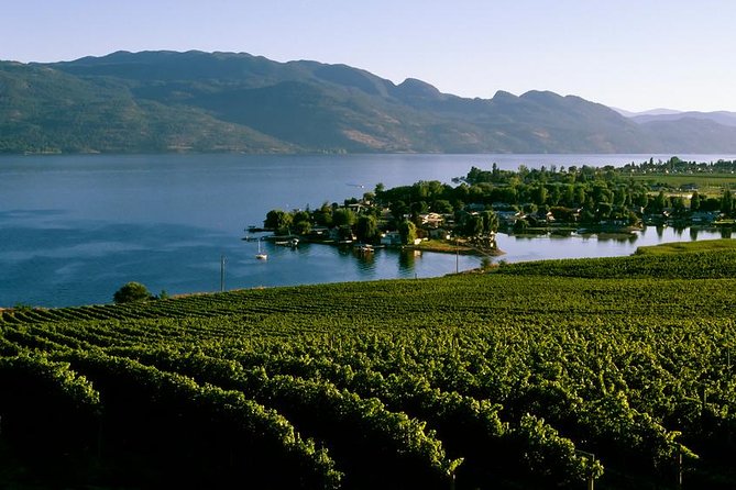 West Kelowna Wine Tour - Classic - 4 Wineries - Key points to know before booking