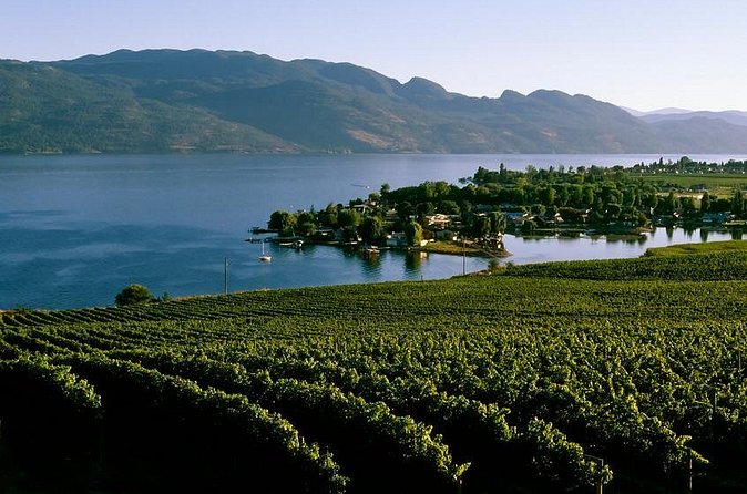 West Kelowna Wine Tour - Classic - 4 Wineries - Mt. Boucherie Estate Winery: a strong photo stop