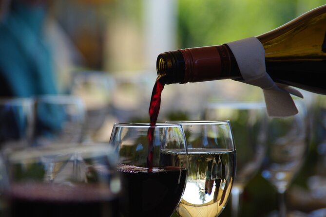 West Kelowna Wine Trail - Visit 5 wineries - Black Swift keeps the wine conversation relaxed