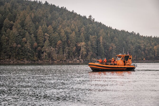 Whale Watching Nanaimo Open Boat Tour - Key points to know before booking