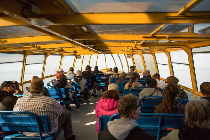 Whale-Watching Tour from Vancouver - Seating, viewing, and mobility concerns