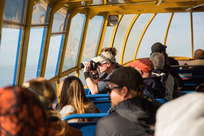 Whale-Watching Tour from Vancouver - Weather, cancellations, and timing
