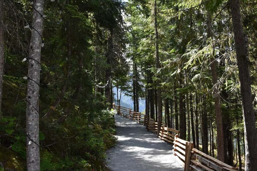 Whistler, Sea to Sky Gondola, and Shannon Falls Day Trip - The Return to Vancouver