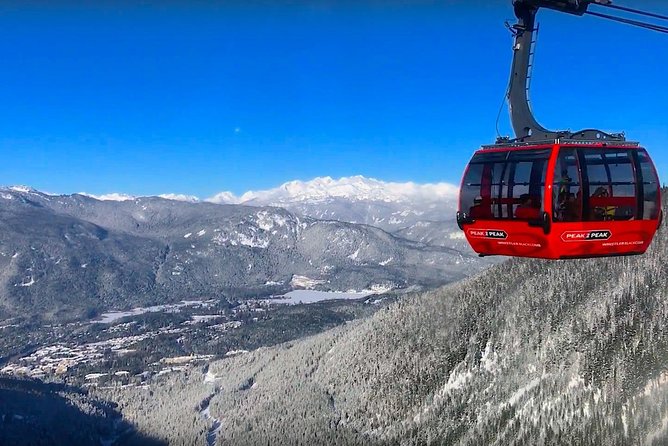 Whistler Sightseeing Tour from Vancouver: See Horseshoe Bay and Shannon Falls - Shannon Falls: a short walk with a big payoff