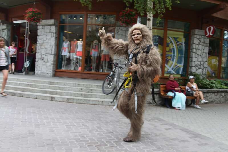 Whistler: The Longest Zipline in North America - Who will enjoy this most?