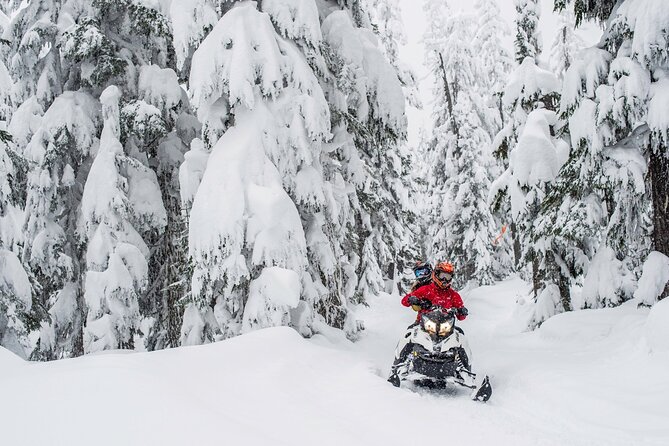 Whistler Wilderness Run Snowmobile Tour - How much riding do you get for CA$236.25?