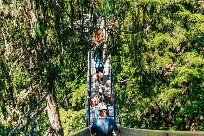 Whistler: Ziplining Experience - Four bridges that slow the pace