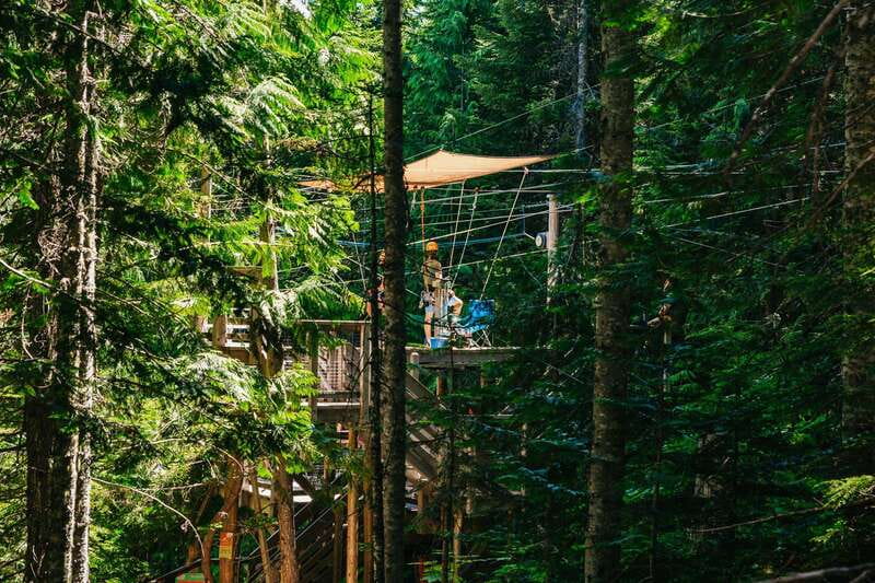 Whistler: Ziplining Experience - Is $130 a fair price?