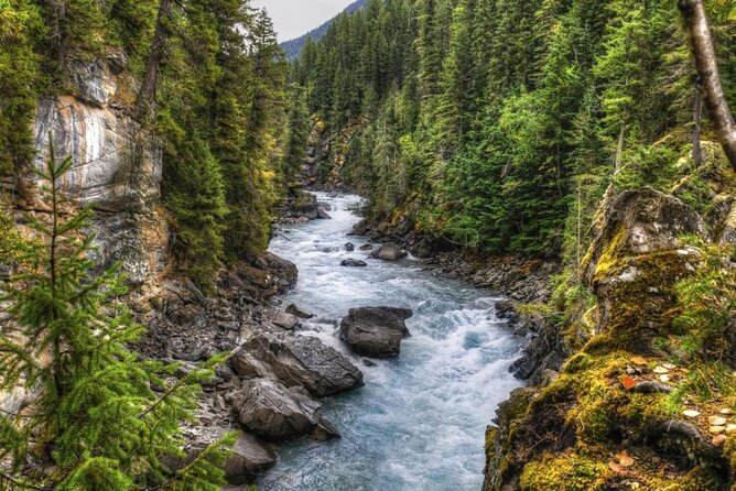 Whitewater Rafting on Jasper's Fraser River - Why the Fraser River is worth your Jasper time