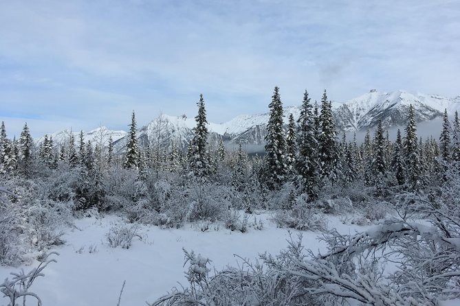 Wilderness and Wildlife Hiking Tour - 3hr Hike - Fitness, footing, and weather