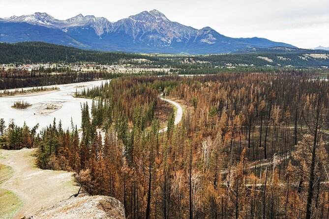 Wildfire Peak Nic - Key things to know before you book