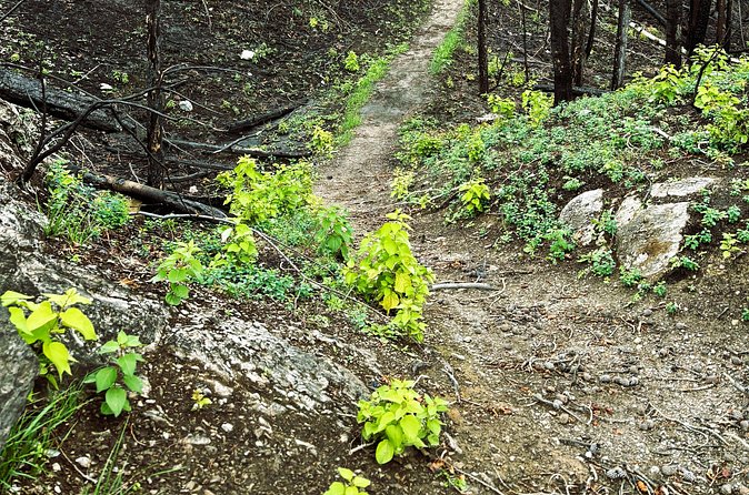 Wildfire Peak Nic - Who should take this hike?