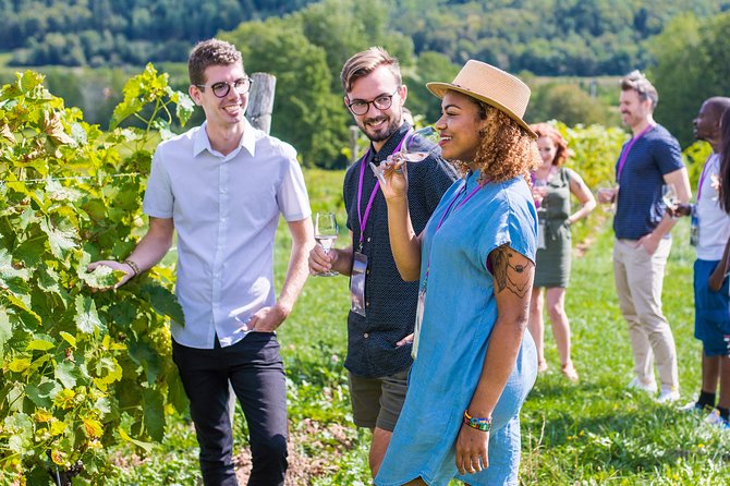 Wine and Lunch Escape - Three wineries, three different personalities