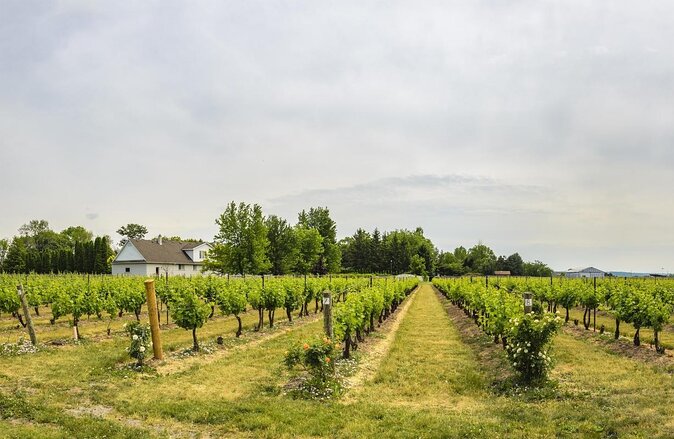 Wine, Cheese, Chocolate 6 Hour Tasting Tour with Lunch - Key points to know before booking