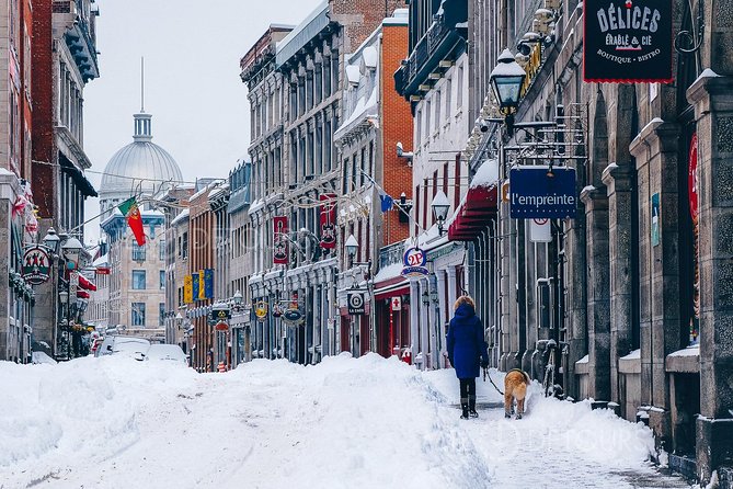 Winter Express: Old Montreal Highlights Walking Tour - Is $24.78 good value?