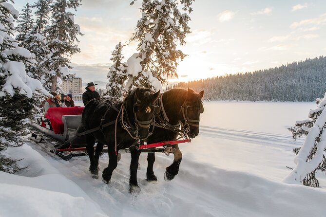 Winter Trip: Lake Louise, Marble Canyon, Emerald Lake, Banff - Lunch at Lake Louise Village