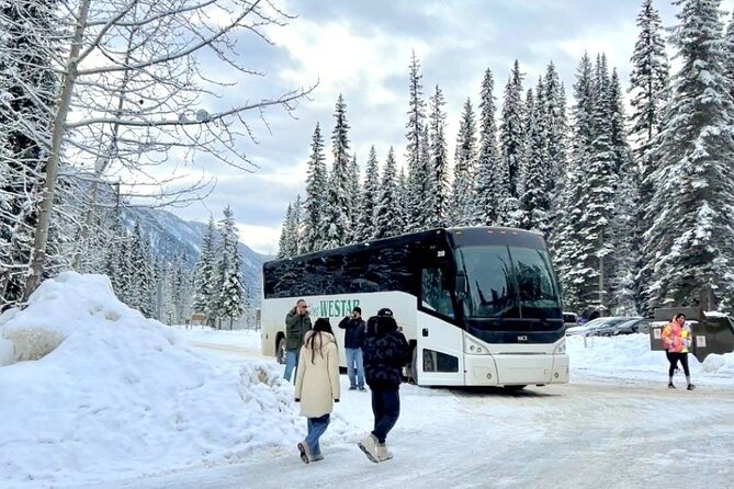 Winter Trip: Lake Louise, Marble Canyon, Emerald Lake, Banff - Lake Louise With an Hour to Look Around