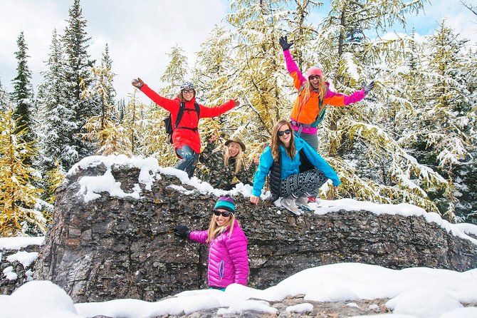 Winter Wildlife Discovery Tour - Booking details and cancellation