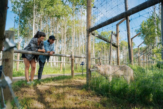 Yamnuska Wolfdog Sanctuary Walk Ticket in Canada - The rescue mission behind the admission fee