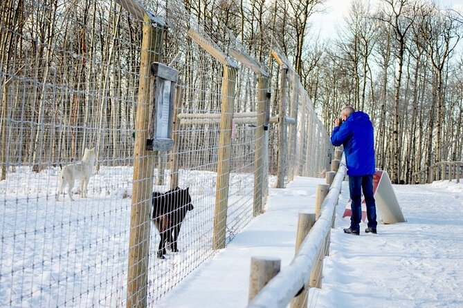 Yamnuska Wolfdog Sanctuary Walk Ticket in Canada - Getting the most from your visit