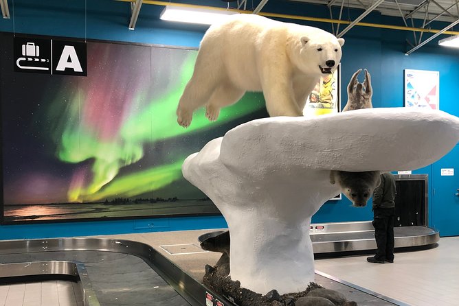 Yellowknife City Tour + Nature's North Wildlife Gallery - Climbing to Bush Pilot’s Monument
