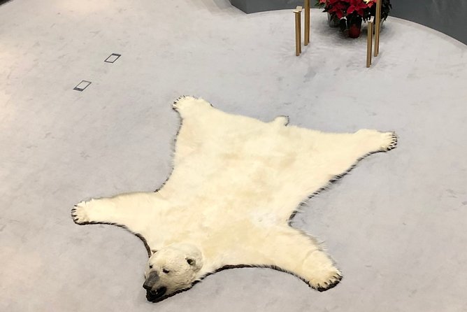 Yellowknife City Tour + Nature's North Wildlife Gallery - Nature’s North Wildlife Gallery is the special extra