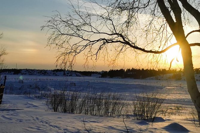 Yellowknife City Tour + Nature's North Wildlife Gallery - What the guide adds