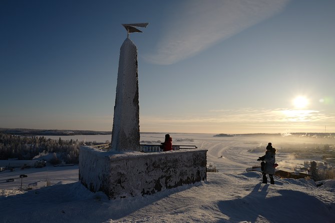 Yellowknife City Tour + Nature's North Wildlife Gallery - Price, timing, and practical value