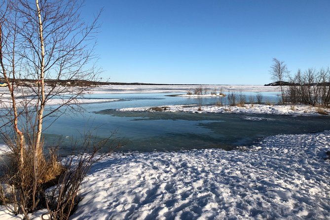 Yellowknife City Tour + Nature's North Wildlife Gallery - A quick stop at the Yellowknife Visitor Centre