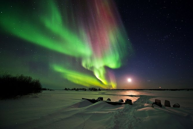 Yellowknife Tours - Aurora by bus - Photo help that makes a real difference