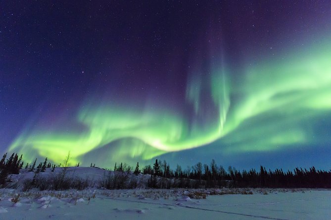 Yellowknife Tours - Aurora by bus - What happens when the aurora does not show