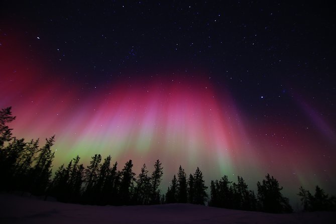 Yellowknife Tours - Aurora by bus - Who will like this Yellowknife outing